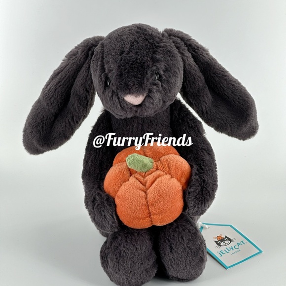NWT Jellycat Bashful Pumpkin Bunny - Picture 1 of 2